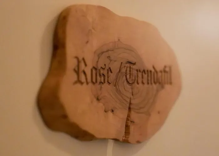 Le מלון טיראנה